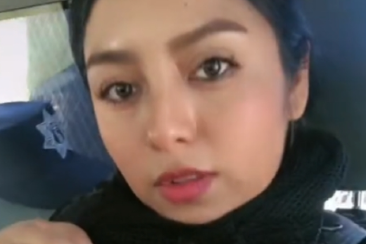 El enlace de la Policía Mexicana del vídeo original se completó y se descargó de inmediato; la escena de la inmoralidad fue captada por la policía