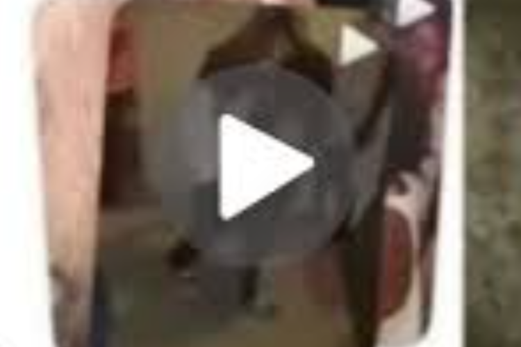 Enlace Vídeo Viral de Los Chamaquitos Completa HD Sin Censura, Inmediatamente se Convirtió en la Caza de los Internautas