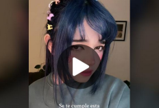 ¡El video original de Any Cemar MP4 de calidad HD que incluye el link de descarga es gratuito antes de ser estrenado!