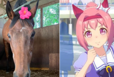 Haru Urara el caballo japonés que inspiró Umamusume ha fallecido, ¡Los jugadores están de luto!